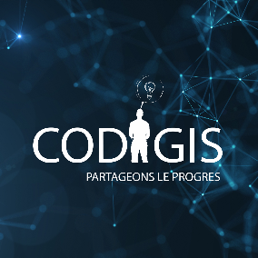 CODIGIS